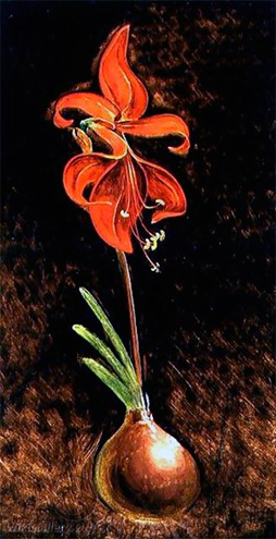 Филипп Отто Рунге. Amaryllis Formosissima. 1808 г.