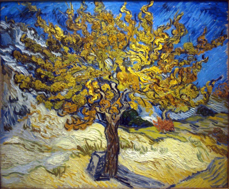 Винсент Ван Гог. Шелковица, 1889